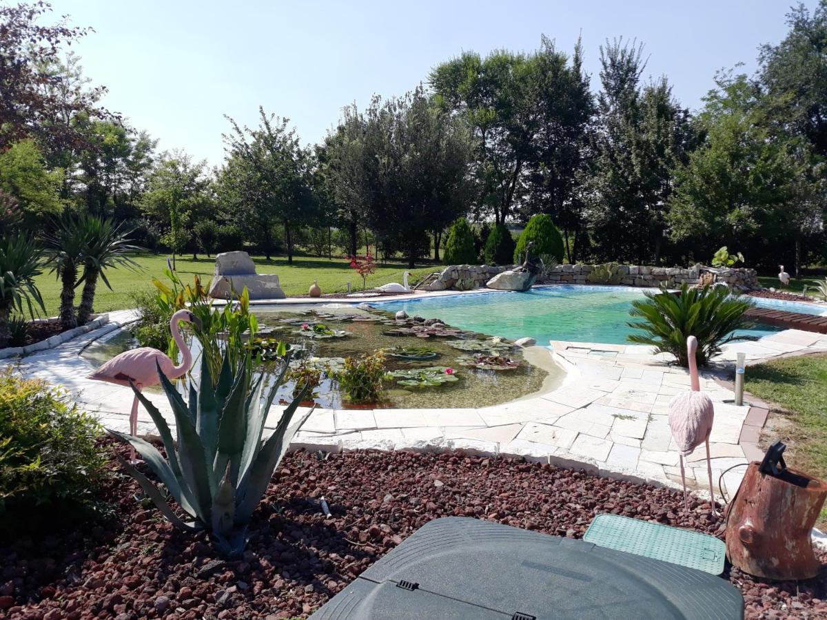 Residence Appartamenti Dogana VecchiaTrivignano Udinese エクステリア 写真