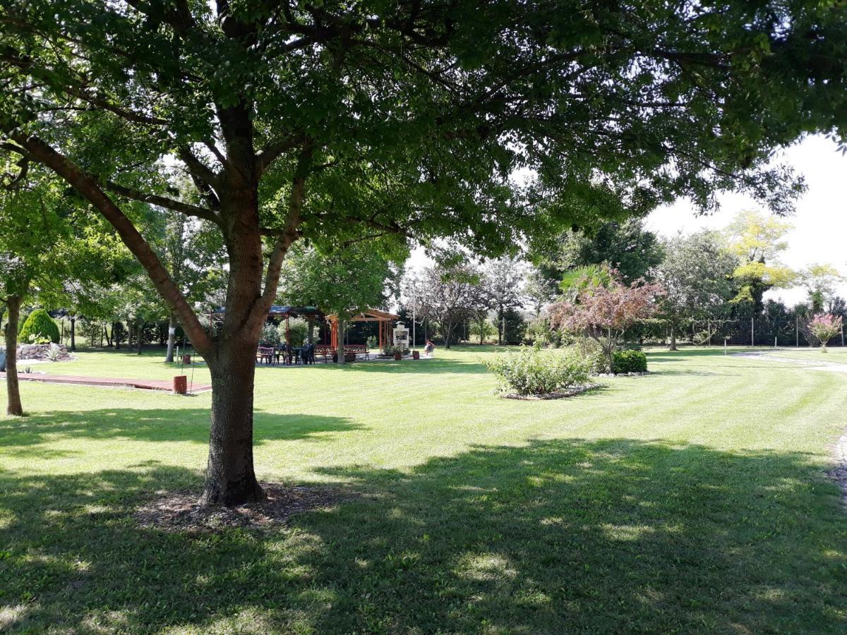 Residence Appartamenti Dogana VecchiaTrivignano Udinese エクステリア 写真